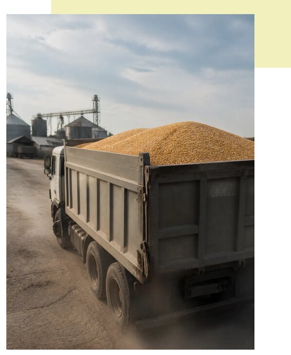 Перевозка сельхозпродукции навалом в Лесосибирск по цене от 3125 р. | Агросервис-Лсс